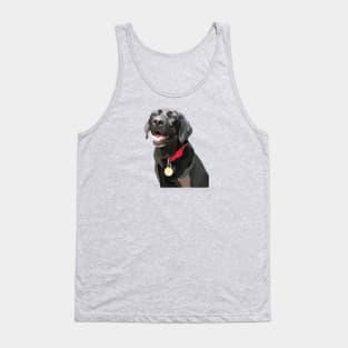 Labrador Tank Top